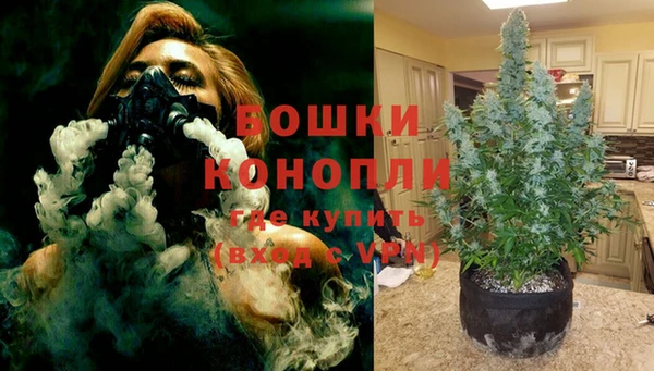 прущие крисы Киренск