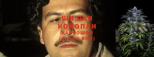 прущие крисы Киренск
