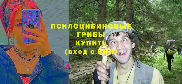 метадон Киреевск